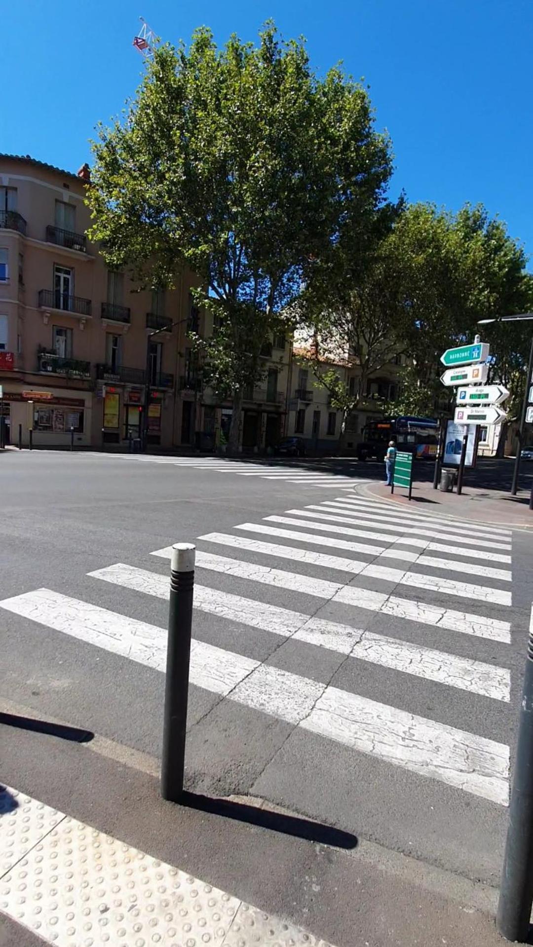 Sejour Perpignan Avec Petit-Dejeuner A La Demande Et Piscine A 20 Minutes De L'Espagne A Le Palace Climatise Екстериор снимка